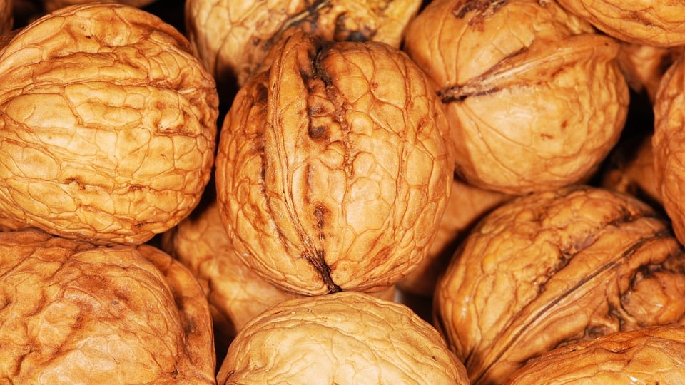 Vuoi vivere meglio? Ecco perché mangiare le noci