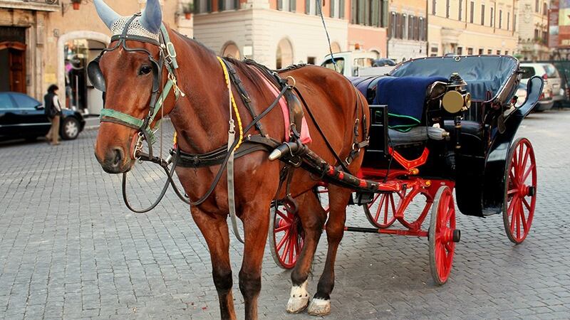 Roma, stop alle botticelle durante le ondate di calore