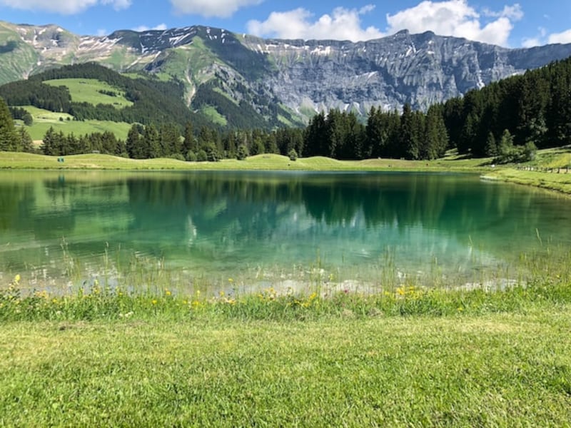 Montagna