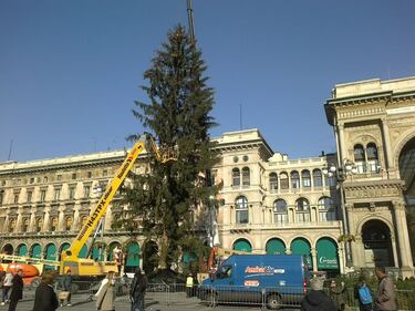 Milano, è arrivato l'abero di Natale in Piazza Duomo 1