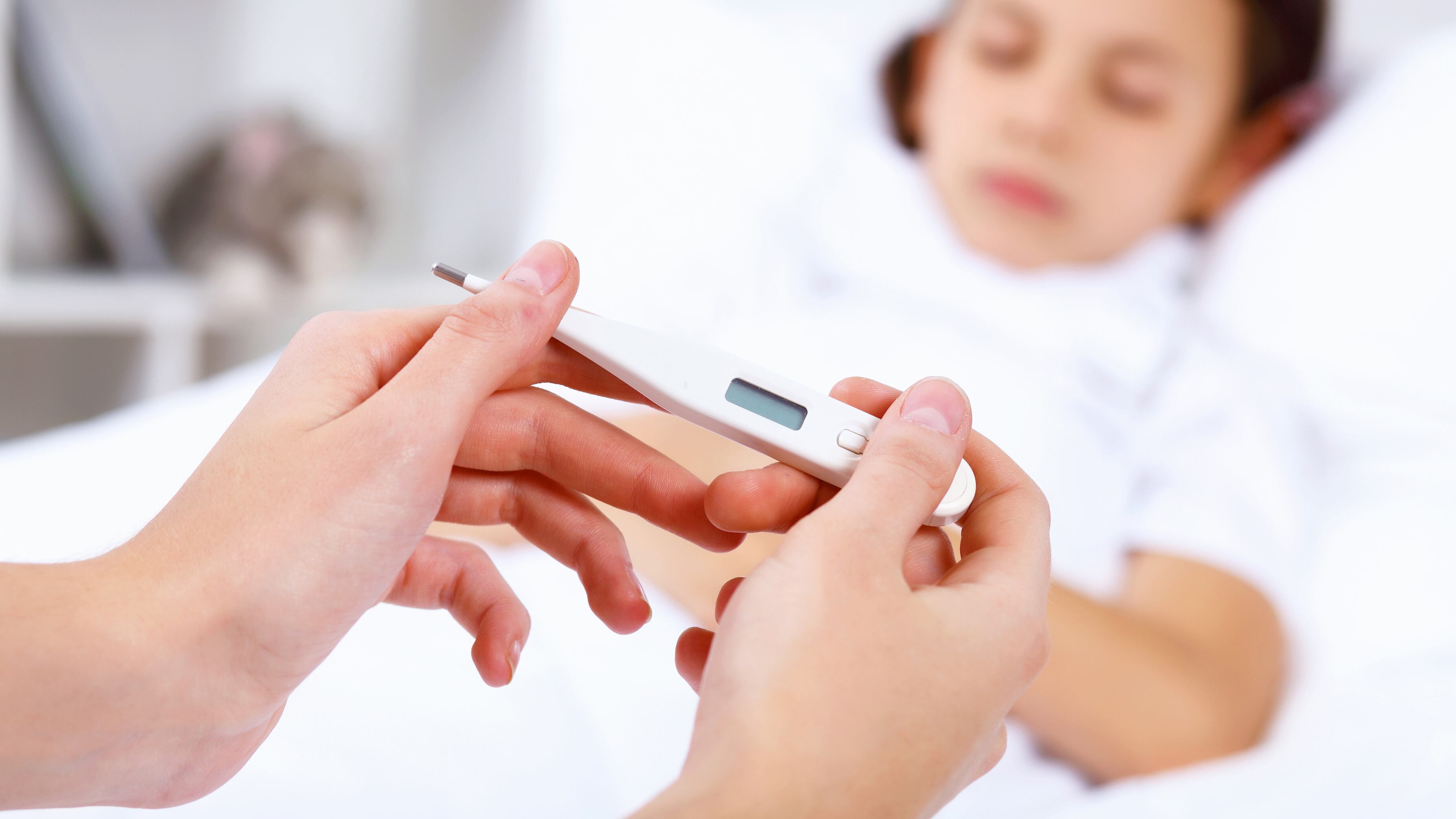 Pericoli, vantaggi, sintomi: il vademecum dei vaccini
