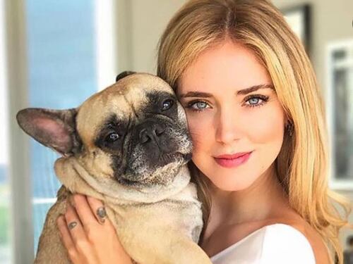 "Non comprate il cane della Ferragni". Ecco perché i bulldog francesi passano una vita infernale