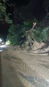 Maltempo, allagamenti in Toscana: 120 mm caduti in poche ore 6