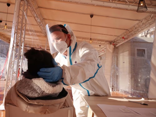Gli irriducibili che vogliono infettarsi tra untori a pagamento e baci proibiti