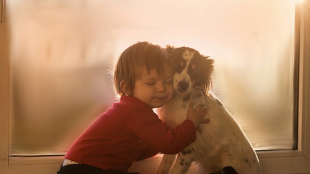 "I cani odiano gli abbracci. Per questo diventano aggressivi"
