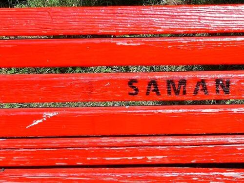 Nel silenzio delle femministe il nome "Saman" su una panchina