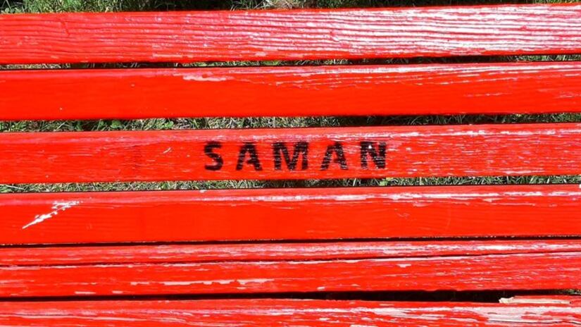 Nel silenzio delle femministe il nome "Saman" su una panchina