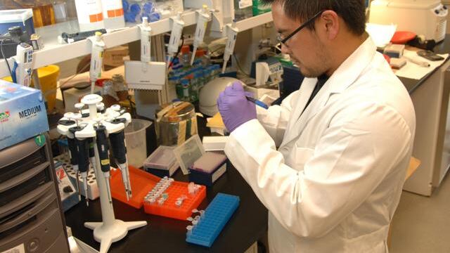 Ecco il "vaccino dei Marines": cosa cambia nella lotta al virus