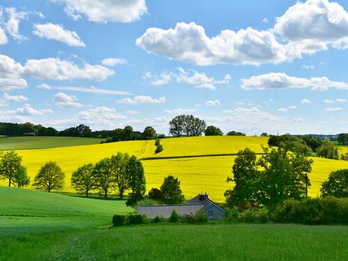 I "conservatori verdi" tra campagna e agricoltura