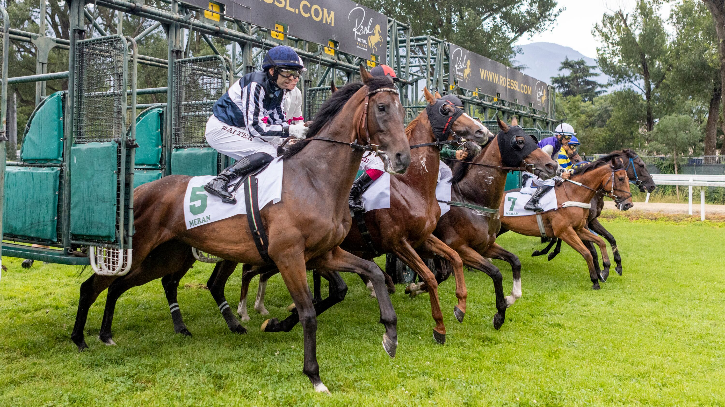 Ad Ascot una delle corse più importanti del mondo, in Italia occhi puntati su Merano e Follonica