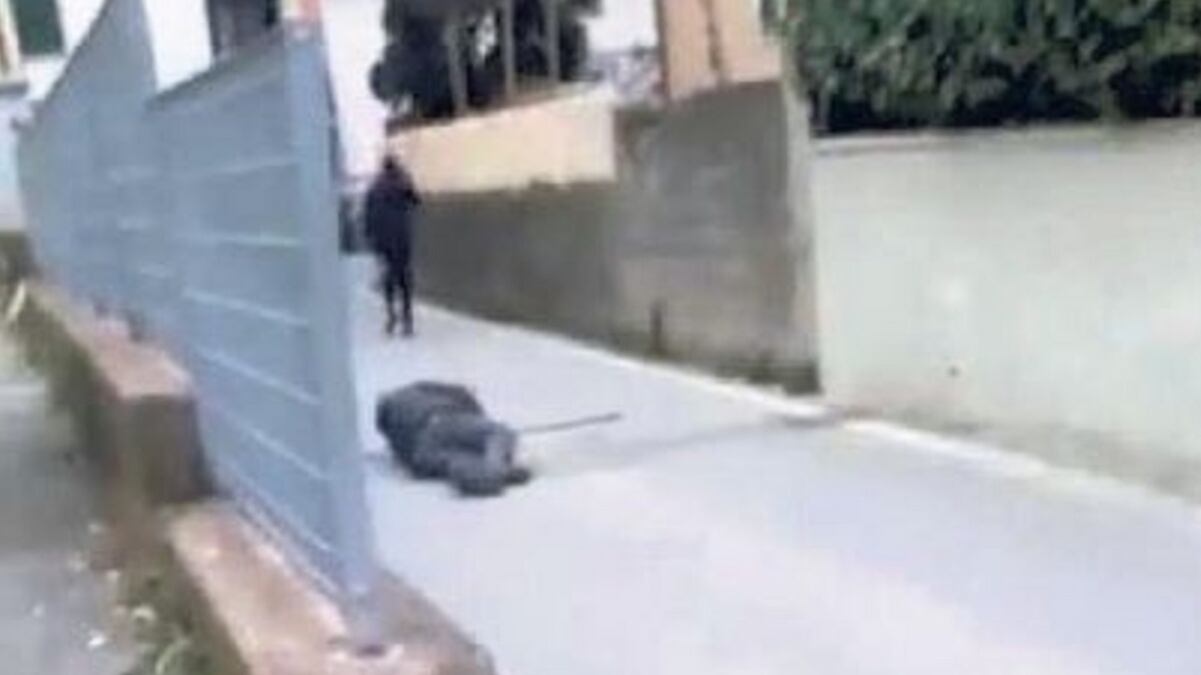 Ragazzini aggrediscono anziano invalido. Poi postano il video sui social