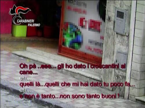 "Ho dato i croccantini al cane", così ordinavano la droga