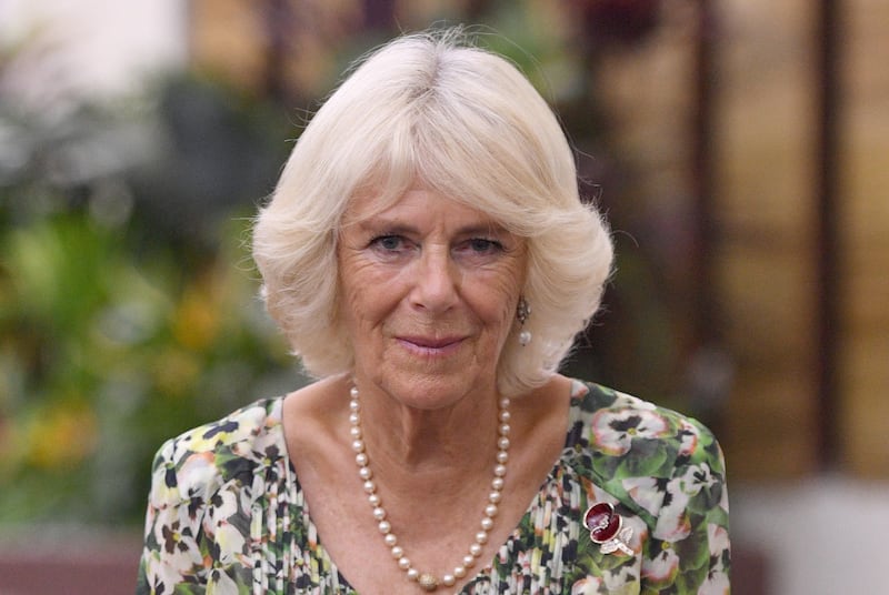Camilla Parker Bowles, la duchessa di Cornovaglia in foto 9