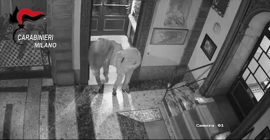 Furti e ricettazione: arrestati 9 rom 7