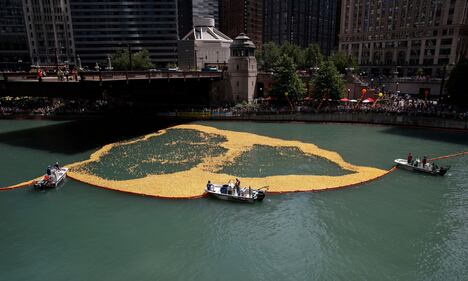 Chicago, un mare di anatre di gomma invadono il fiume 1