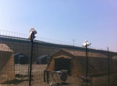 Stazione Tiburtina, ecco dove nascerà il nuovo centro d'accoglienza 13