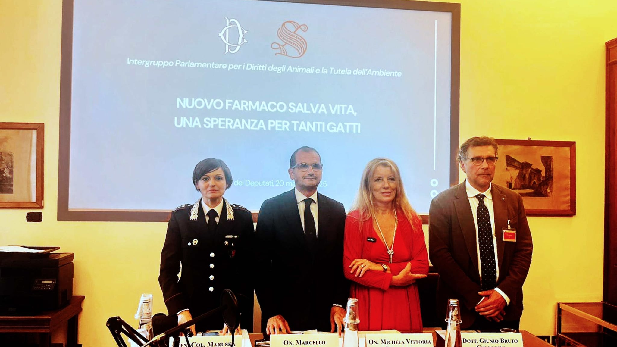 Brambilla: "Renderemo disponibile il farmaco salva-vita per i gatti"