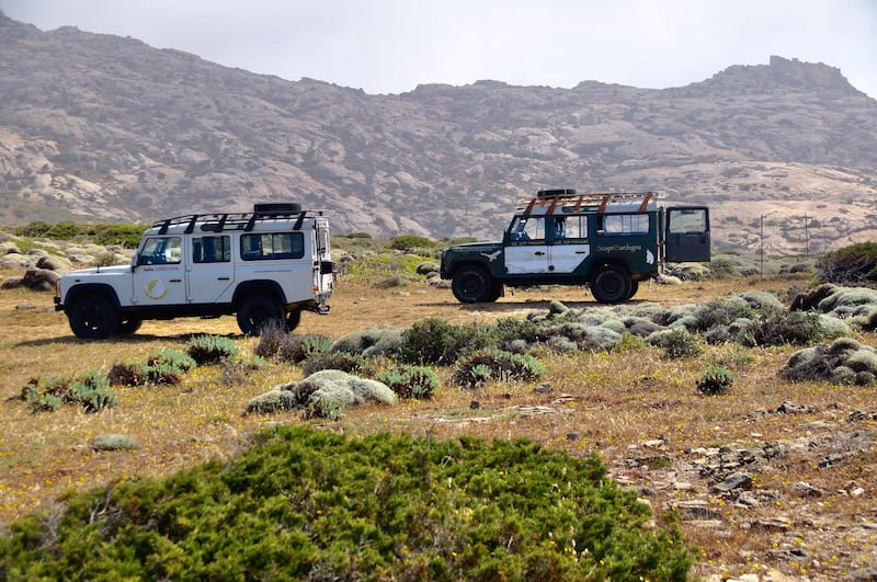 Asinara trasporti