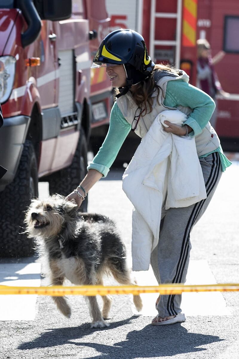 Roma, i vigili del fuoco salvano il cane Billo 1