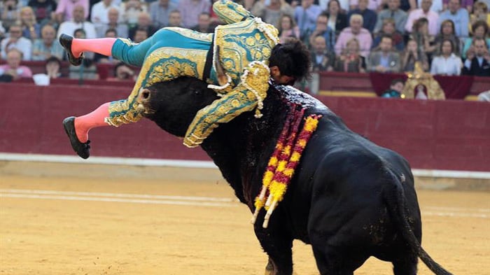 Il torero-sex symbol viene incornato ma prosegue e uccide il toro