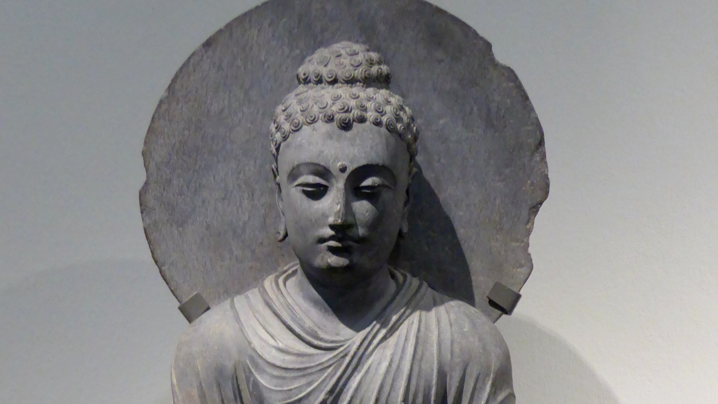 Zurigo è la capitale mondiale dei Buddha, c'è anche il gigante in prestito da Peshawar