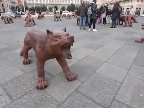 Napoli, vandalizzati i lupi dell’artista Ruowang