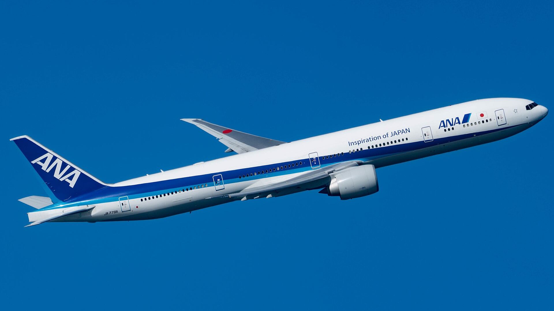 Morde l'hostess durante il volo e l'aereo torna indietro: cos'è successo