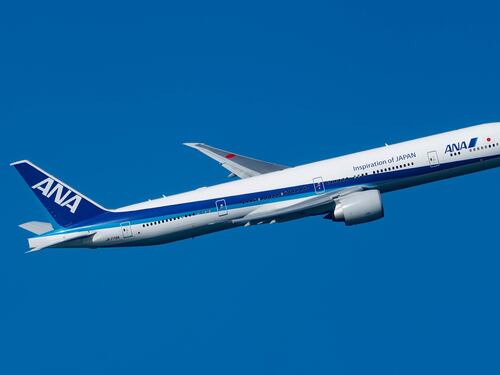 Morde l'hostess durante il volo e l'aereo torna indietro: cos'è successo