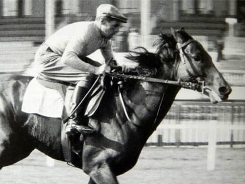 Da Bucefalo a Ribot, l’epopea del destriero tra mito e realtà