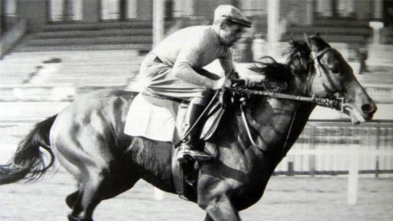 Da Bucefalo a Ribot, l’epopea del destriero tra mito e realtà