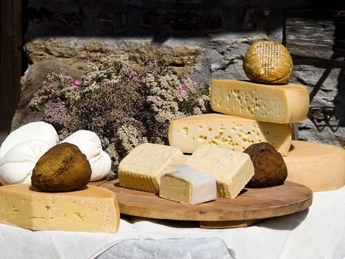 "Ha ucciso 10 persone": azienda sotto inchiesta per il "formaggio-killer"