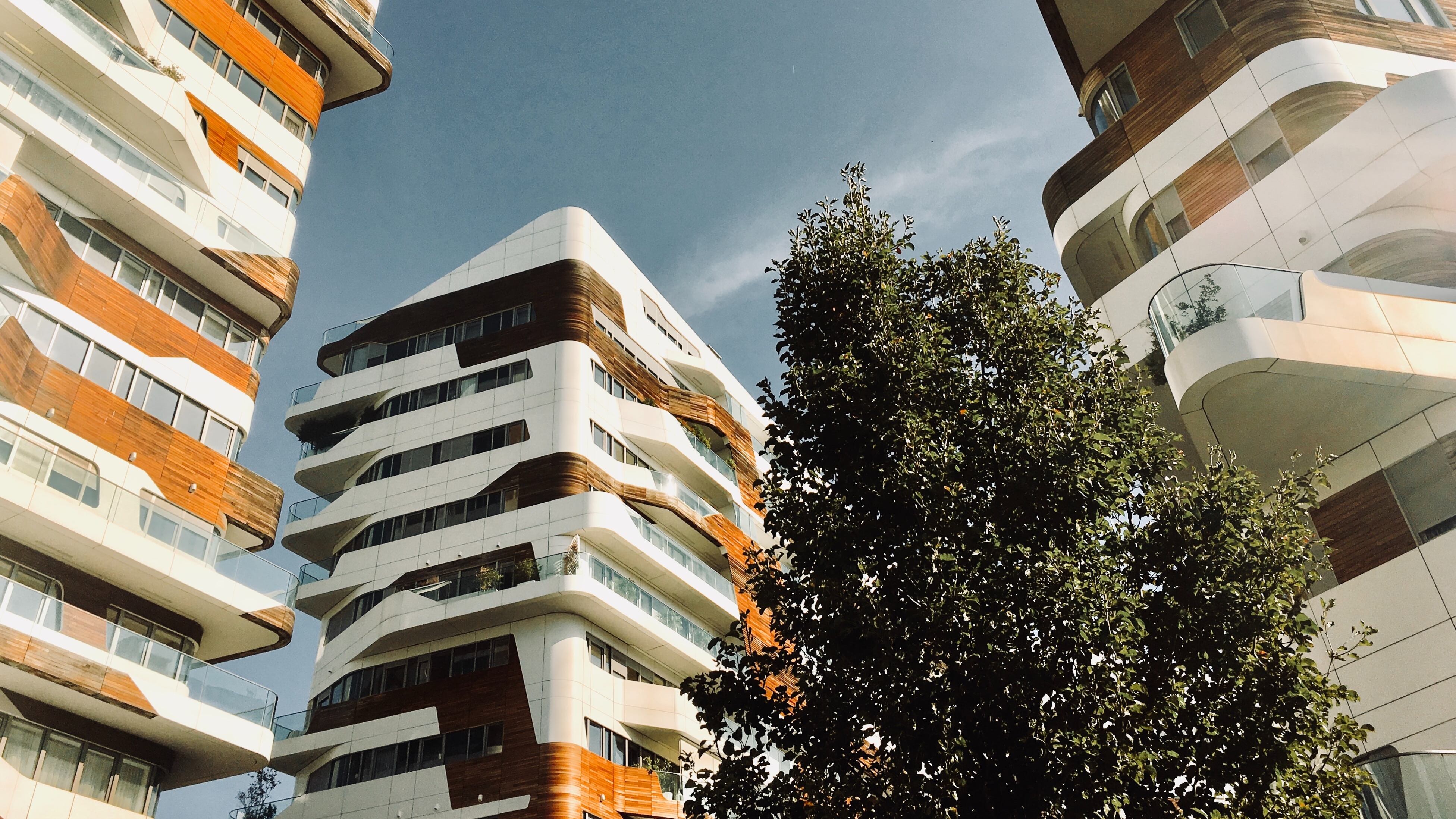 Dischi, aghi e gatte: l'arte a cielo aperto a Milano