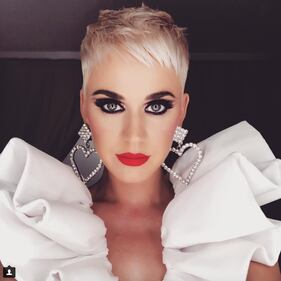 Katy Perry, le foto della cantante 3
