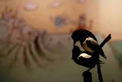 Come fanno sesso gli esseri in natura? Mostra scandalo a Monaco 6