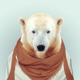 Avete mai visto animali vestiti da esseri umani? 7