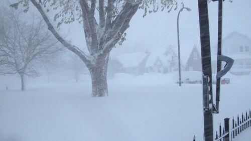 Usa, Buffalo paralizzata da una tempesta di neve 7