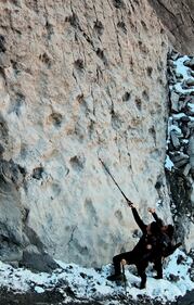 Scoperta al Parco dello Stelvio: orme di Plateosaurus, dinosauro erbivoro 5