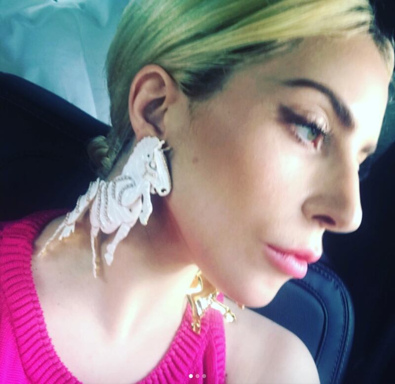 Lady Gaga, le foto della sexy popstar 17