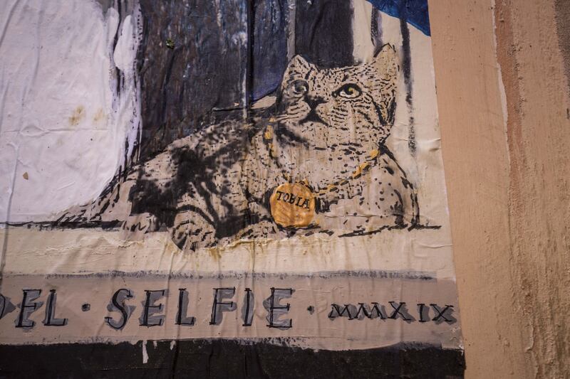 "La dittatura del selfie", ecco il murales che paragona Salvini al Duce 5