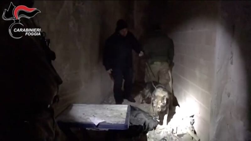 Foggia, le immagini delle perquisizioni all'ex-Onpi 9