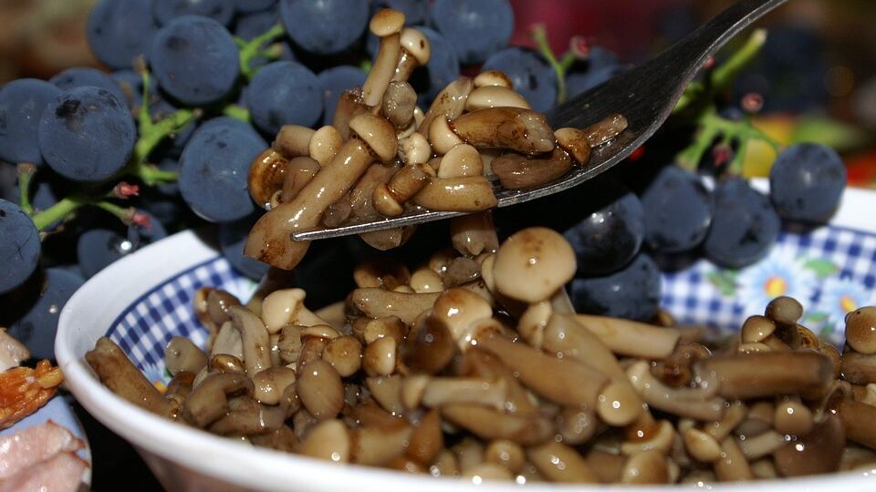 74enne muore in ospedale, dopo aver mangiato funghi