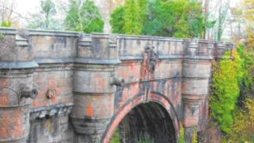 Quel ponte che induce gli animali a buttarsi fra leggenda e cronaca