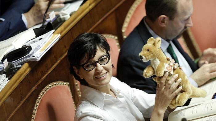 Minacce alla compagna di Tosi: "Da prendere a calci in bocca"