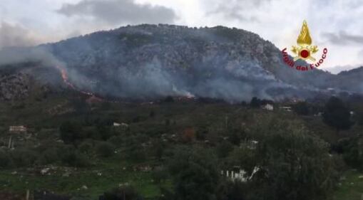 Altofonte invasa dalle fiamme. Ettari di boschi andati distrutti 4