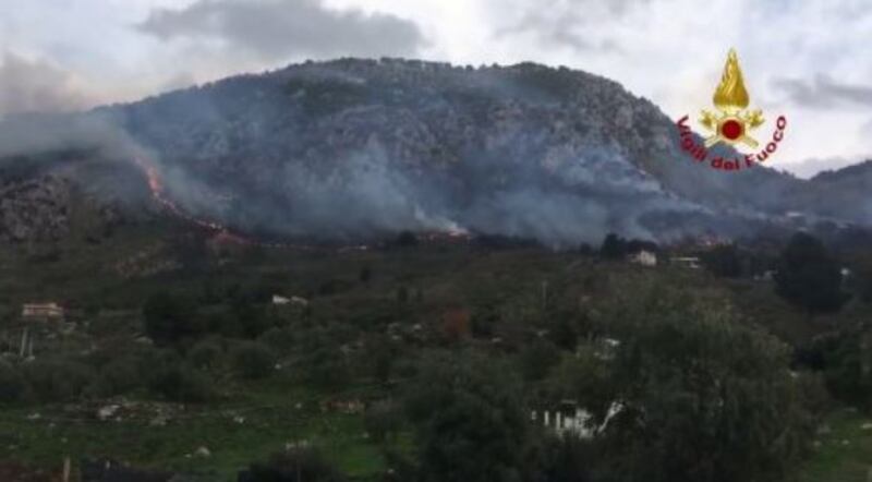 Altofonte invasa dalle fiamme. Ettari di boschi andati distrutti 4
