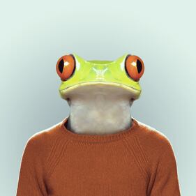 Avete mai visto animali vestiti da esseri umani? 12