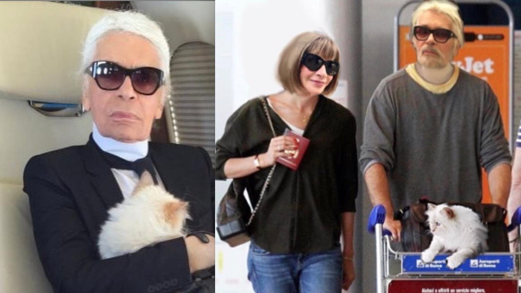 L'eredità di Karl Lagerfeld? In parte alla sua gatta Choupette