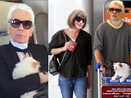 L'eredità di Karl Lagerfeld? In parte alla sua gatta Choupette