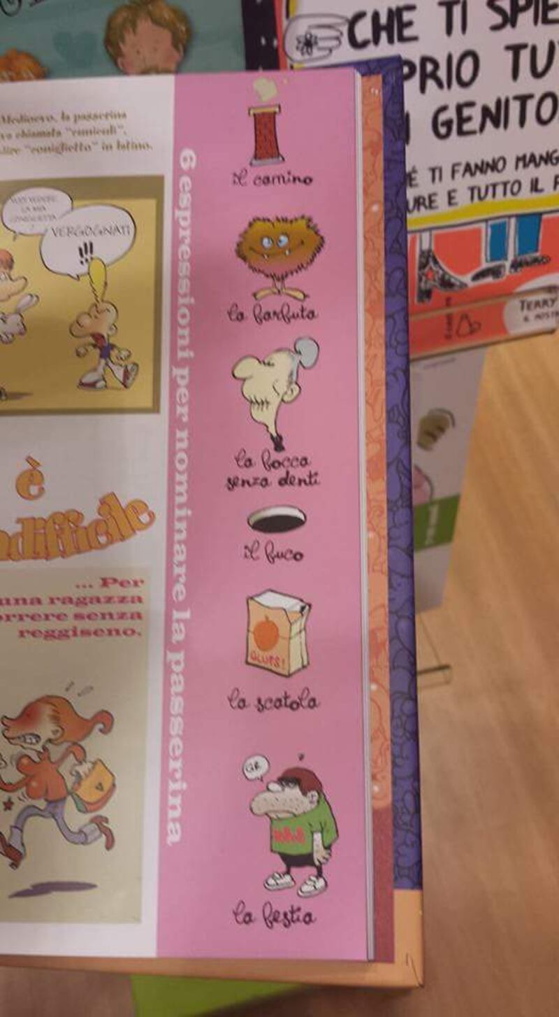 Il libro choc per bimbi: "Metti il dito nel buco della donna" 4