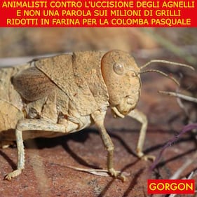 La satira del giorno. Animalisti alla carica 1